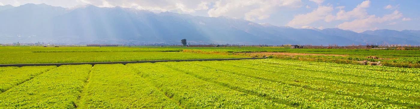 Campos verdes e montanhas, paisagem da identidade original da Inverchaud
